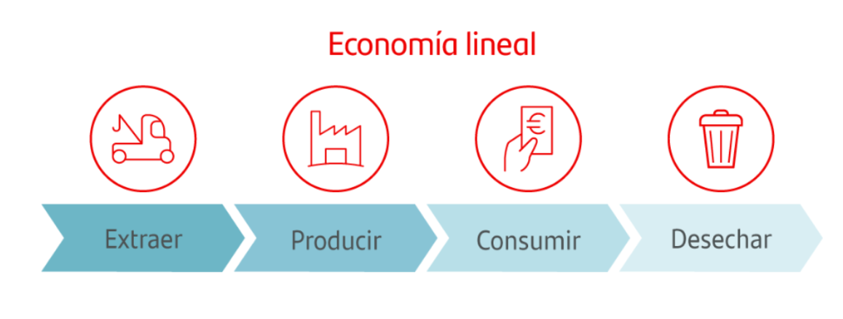 Representación esquemática de la economía lineal